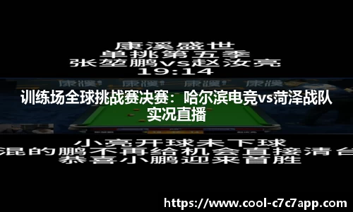 训练场全球挑战赛决赛：哈尔滨电竞vs菏泽战队实况直播